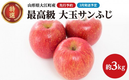 《先行受付》【2027年3月発送予定】 最高級 特選大玉サンふじ約3kg【大江町産・山形りんご・大地農産】