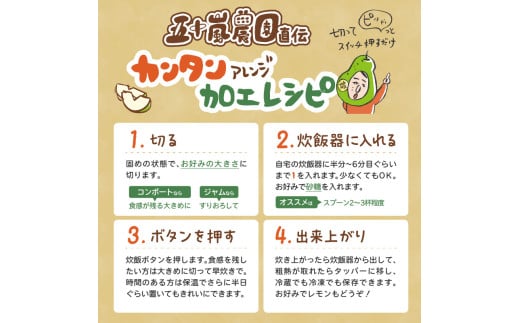 《先行受付》大江町産 山形ラフランス 5kg 13～20玉 L～5L【2026年11月中旬頃～発送予定】