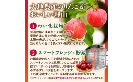 《先行受付》【2027年3月発送予定】 最高級 特選大玉サンふじ約3kg【大江町産・山形りんご・大地農産】