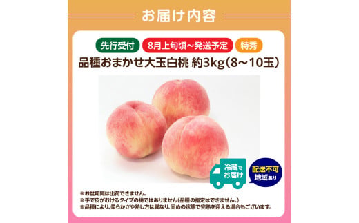 《先行受付》品種おまかせ 大玉白桃 約3kg【特秀】 （8〜10玉）【2026年8月上旬頃〜発送予定】