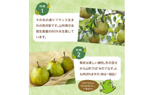 《先行受付》大江町産 山形ラフランス 5kg 13～20玉 L～5L【2026年11月中旬頃～発送予定】