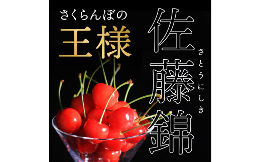 《先行受付》おまかせさくらんぼ フードパック 約1.44kg (180g×8)【2026年6月中旬頃～発送予定】【山形県産さくらんぼ】