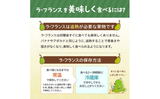 《先行受付》大江町産 山形ラフランス 5kg 13～20玉 L～5L【2026年11月中旬頃～発送予定】
