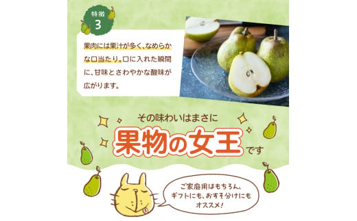 《先行受付》大江町産 山形ラフランス 5kg 13～20玉 L～5L【2026年11月中旬頃～発送予定】
