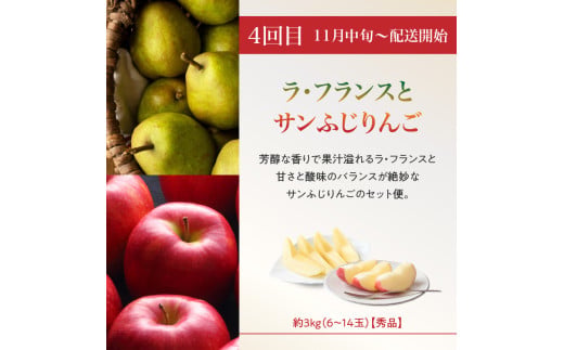  ≪先行受付≫【2026度年発送】8種のフルーツ詰合せセット★スペシャル便【定期便全４回】