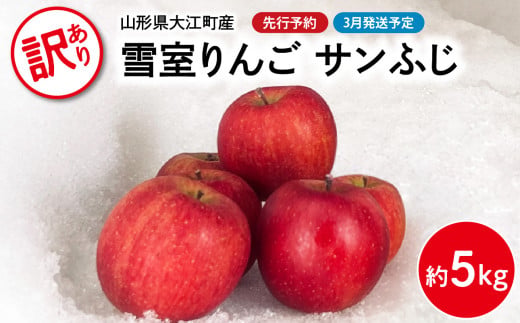 《先行受付》【2027年3月発送予定】 訳あり 雪室りんごサンふじ 約5kg【大江町産・山形りんご・大地農産】