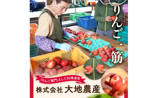 《先行受付》【2027年2月発送予定】 サンふじ約5kg・秀品【大江町産・山形りんご・大地農産】