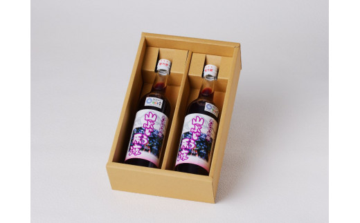 大江の恵 山ぶどう原液2本セット(各500ml）