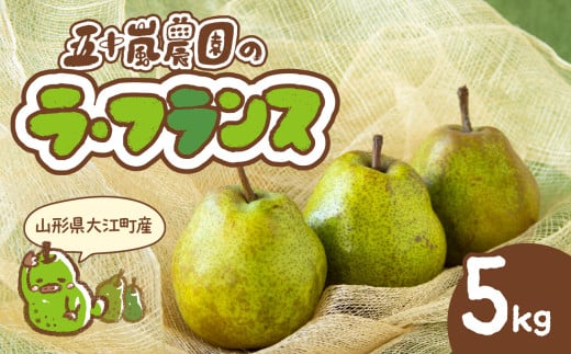 《先行受付》大江町産 山形ラフランス 5kg 13～20玉 L～5L【2026年11月中旬頃～発送予定】