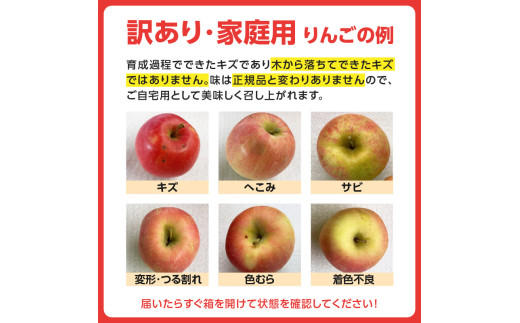  《先行受付》訳ありこうとくりんご約4.5kg 【2026年11月中旬頃～発送予定】【大江町産・山形りんご・大地農産・11月・12月】