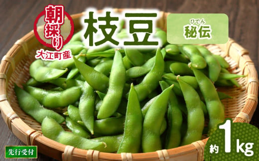 《先行受付》枝豆（秘伝）約1kg【2026年9月下旬より順次発送予定】