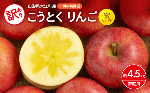 《先行受付》訳ありこうとくりんご約4.5kg 【2026年11月中旬頃～発送予定】【大江町産・山形りんご・大地農産・11月・12月】