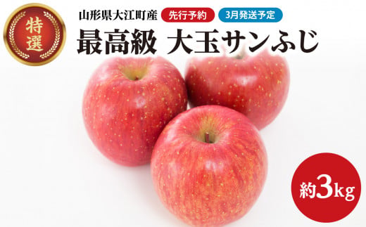 《先行受付》【2027年3月発送予定】 最高級 特選大玉サンふじ約3kg【大江町産・山形りんご・大地農産】