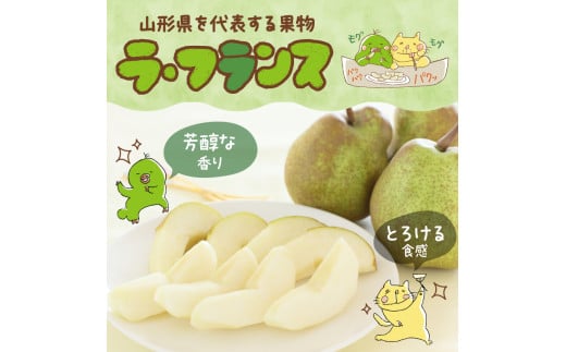 《先行受付》大江町産 山形ラフランス 5kg 13～20玉 L～5L【2026年11月中旬頃～発送予定】