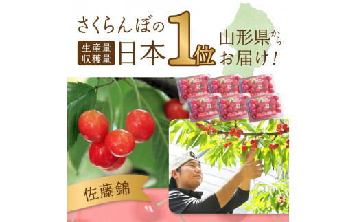 《先行受付》おまかせさくらんぼ フードパック 約1.44kg (180g×8)【2026年6月中旬頃～発送予定】【山形県産さくらんぼ】