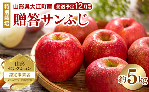 《先行受付》特別栽培 贈答規格サンふじ約5kg 【2026年12月中旬頃〜発送予定】