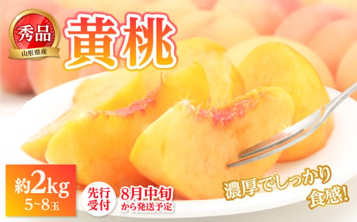 《先行受付》★黄桃（品種おまかせ）★ 約2kg(5〜8玉) 秀品 【2026年8月中旬頃〜発送予定】