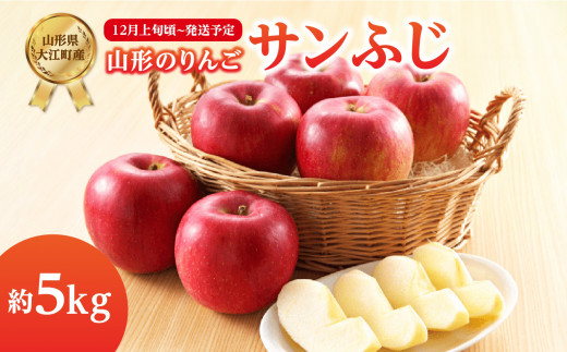《先行受付》サンふじ約5kg 【2026年12月上旬頃～発送予定】【山形りんご・大江町産】