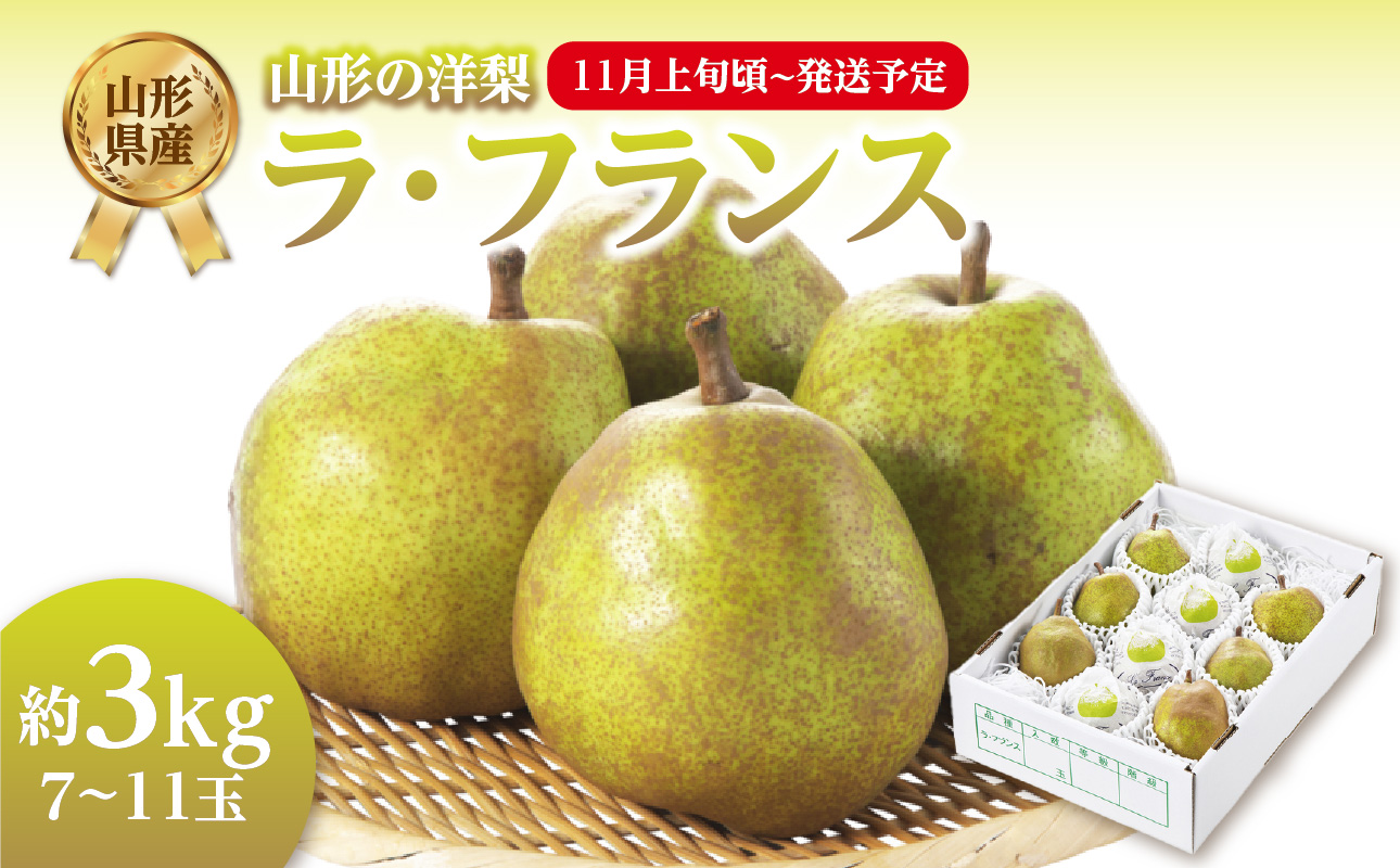 《先行受付》ラフランス 約3kg （7～11玉） 【2026年11月上旬頃～発送予定】【山形洋梨】