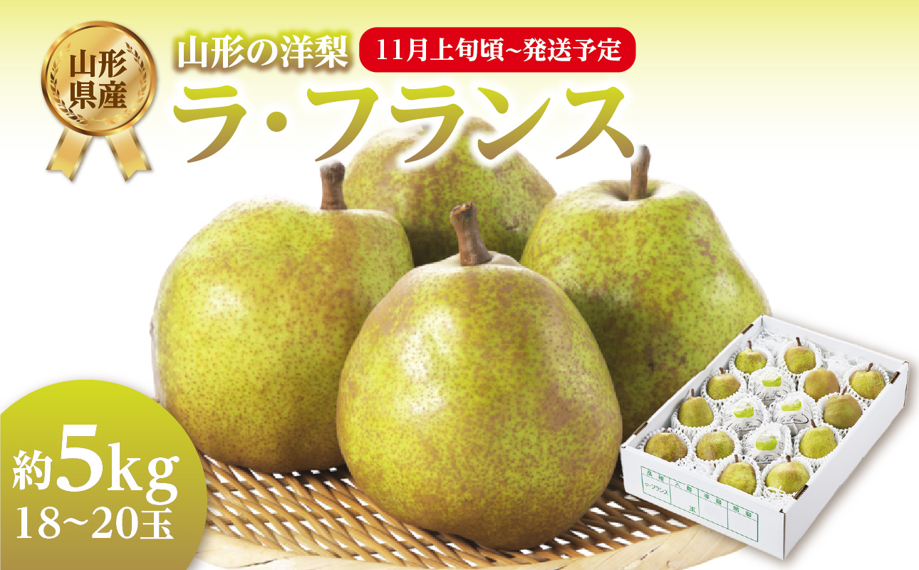 《先行受付》ラフランス 約5kg（18～20玉） 【2026年11月上旬頃～発送予定】【山形洋梨】