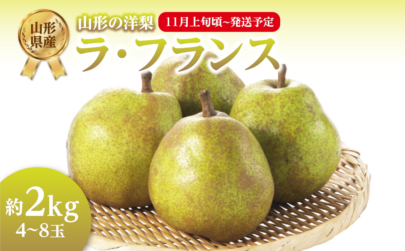 《先行受付》ラフランス 約2kg（4～8玉） 【2026年11月上旬頃～発送予定】【山形洋梨】