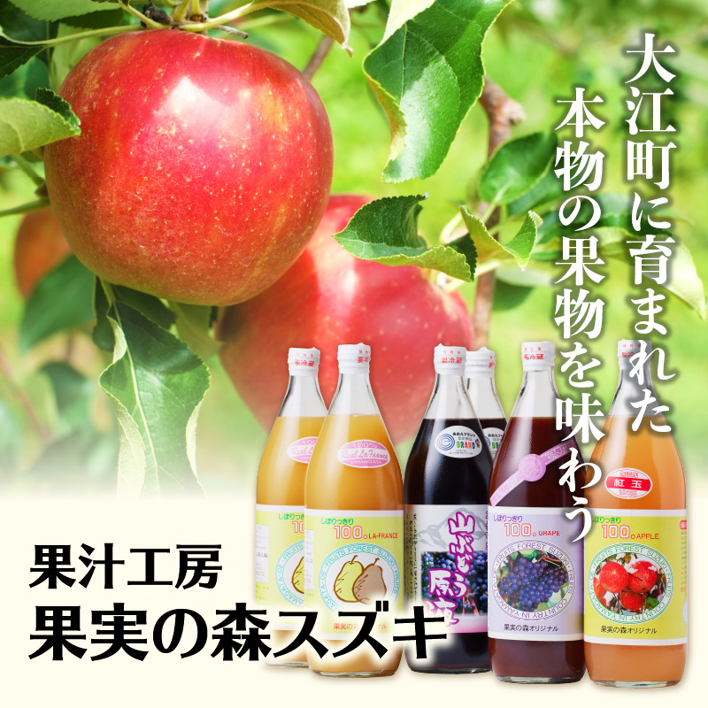 大江の恵 3色ギフト（山ブドウ原液、ラフランス、紅玉各1000ml）