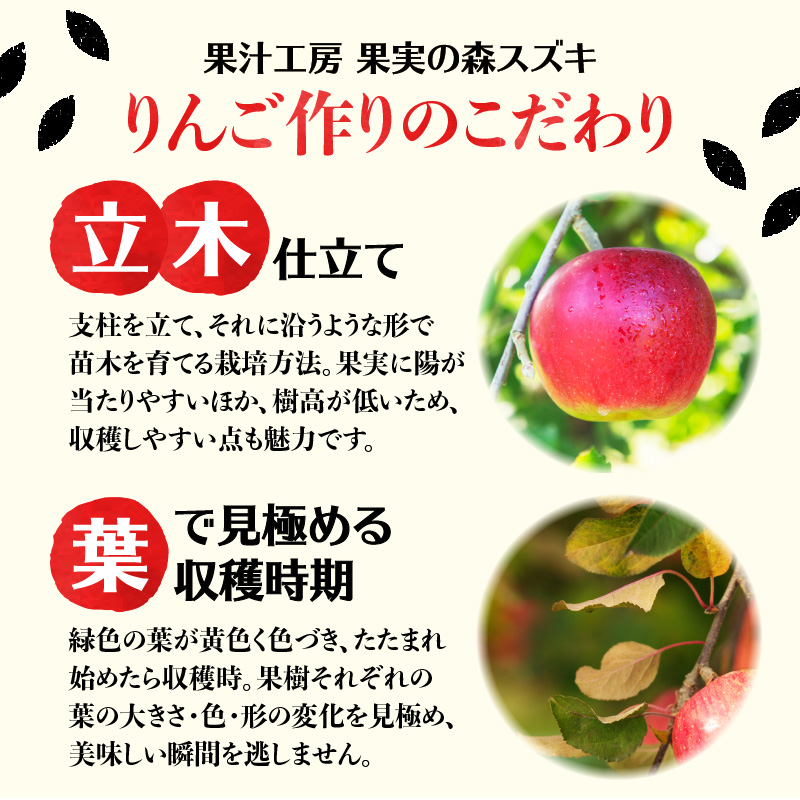 大江の恵 3色ギフト（山ブドウ原液、ラフランス、紅玉各1000ml）
