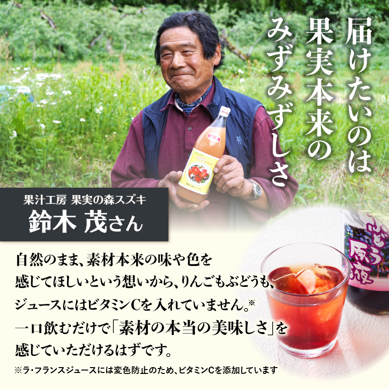 大江の恵 3色ギフト（山ブドウ原液、ラフランス、紅玉各1000ml）