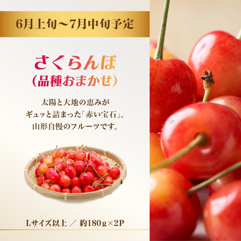 060-T11 山圢ãã«ãŒã人æ°ã¡ãã¬ãŒäŸ¿ãå®æäŸ¿å
š5åã