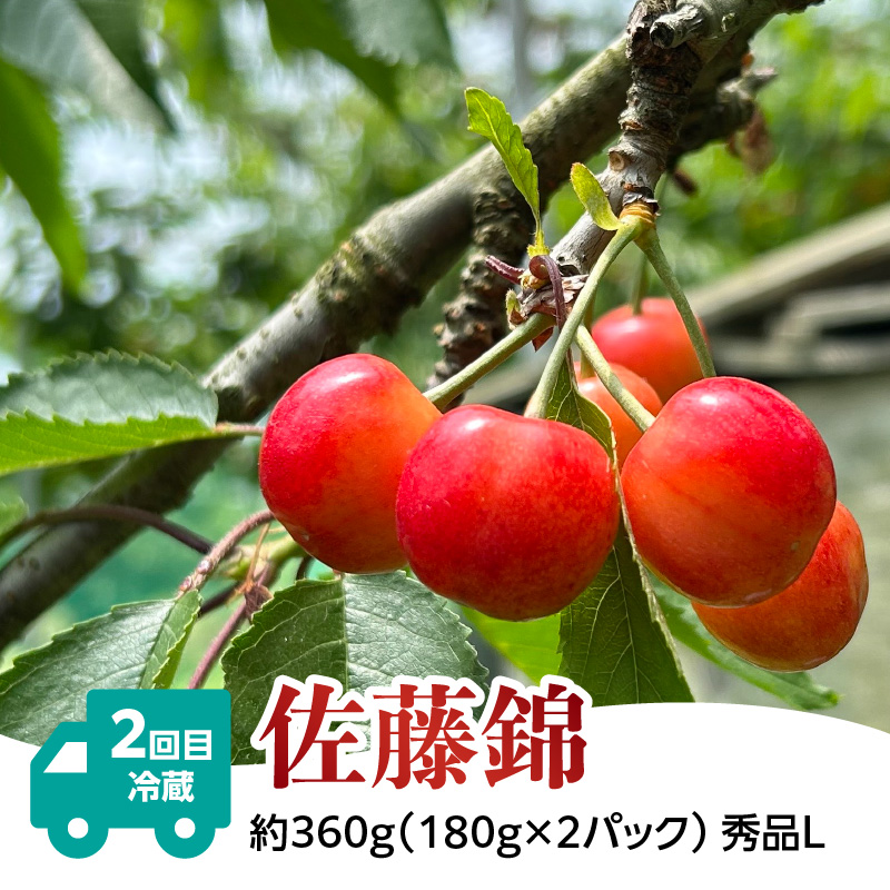 螻ア蠖「縺輔¥繧峨s縺シ シ鍋ィョ鬟溘∋豈斐∋螳壽悄萓ソ縲仙ョ壽悄萓ソ蜈ィシ灘屓縲