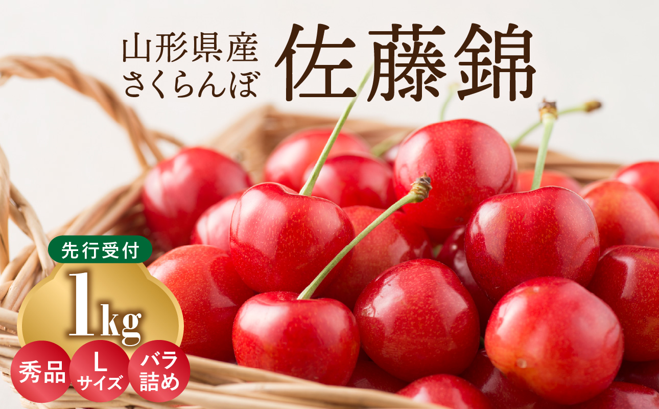 ≪先行受付≫さくらんぼ 佐藤錦 1kg 秀品 Lサイズ  バラ詰め【2026年6月中旬頃〜発送予定】【山形県産さくらんぼ】