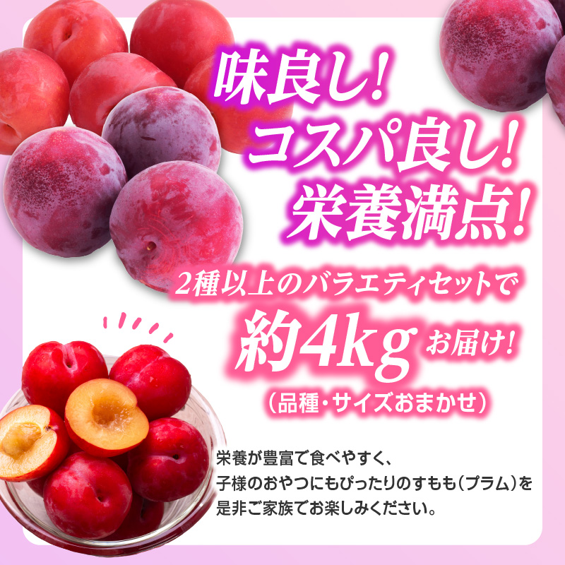 ãå
è¡åä»ããããïŒãã©ã ïŒçŽ4kg 2皮以äžã2026幎8æäžæ¬é ïœçºéäºå®ãã山圢ãã©ã ã»å€§æ±çºç£ã