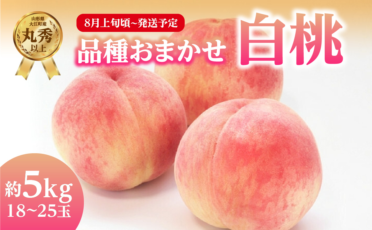《先行受付》品種おまかせ 白桃 約5kg【丸秀以上】 （18～25玉）【2026年8月上旬頃～発送予定】