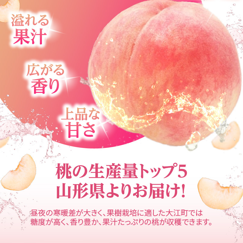 《先行受付》品種おまかせ 白桃 約5kg【丸秀以上】 （18～25玉）【2026年8月上旬頃～発送予定】