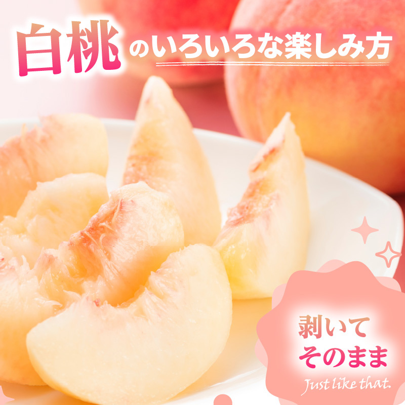 《先行受付》品種おまかせ 白桃 約5kg【丸秀以上】 （18～25玉）【2026年8月上旬頃～発送予定】