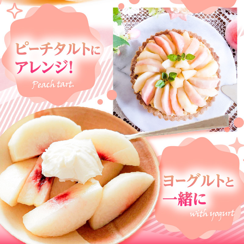 《先行受付》品種おまかせ 白桃 約5kg【丸秀以上】 （18～25玉）【2026年8月上旬頃～発送予定】