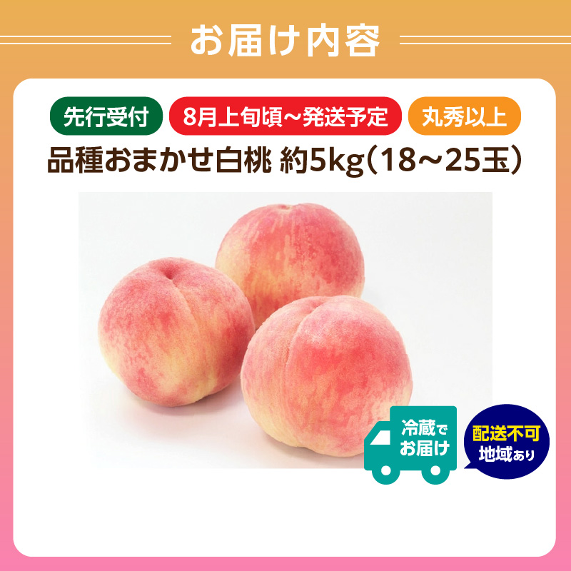 《先行受付》品種おまかせ 白桃 約5kg【丸秀以上】 （18～25玉）【2026年8月上旬頃～発送予定】