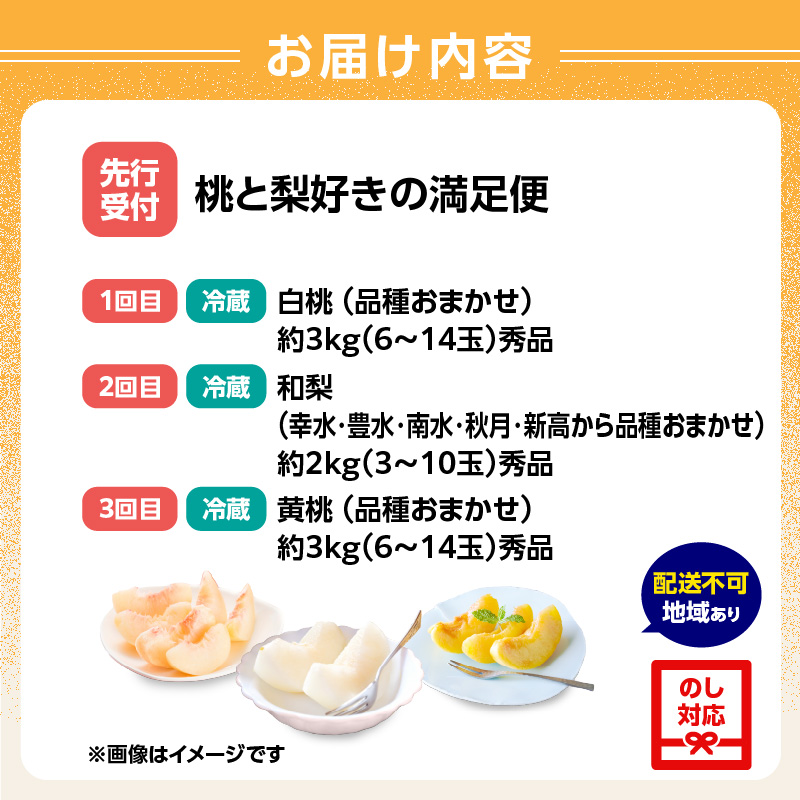 ≪先行受付≫【2026年度発送】 桃と梨好きの満足定期便【定期便全3回】