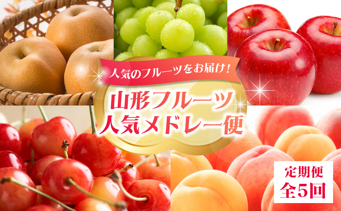 060-T11 山形フルーツ人気メドレー便【定期便全5回】
