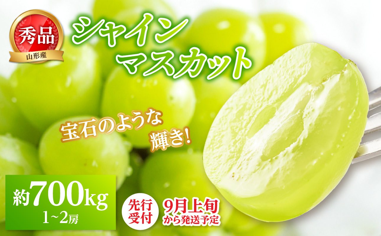 《先行受付》★山形産シャインマスカット★約700g以上(1～2房)秀品【2026年9月頃～順次発送予定】