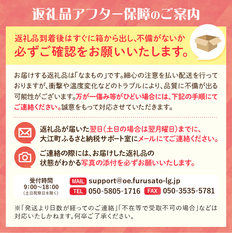 《先行受付》訳あり 大江はるか約3.5kg【2026年12月上旬〜発送予定】【大江町産・山形りんご・りんご専科 清野】