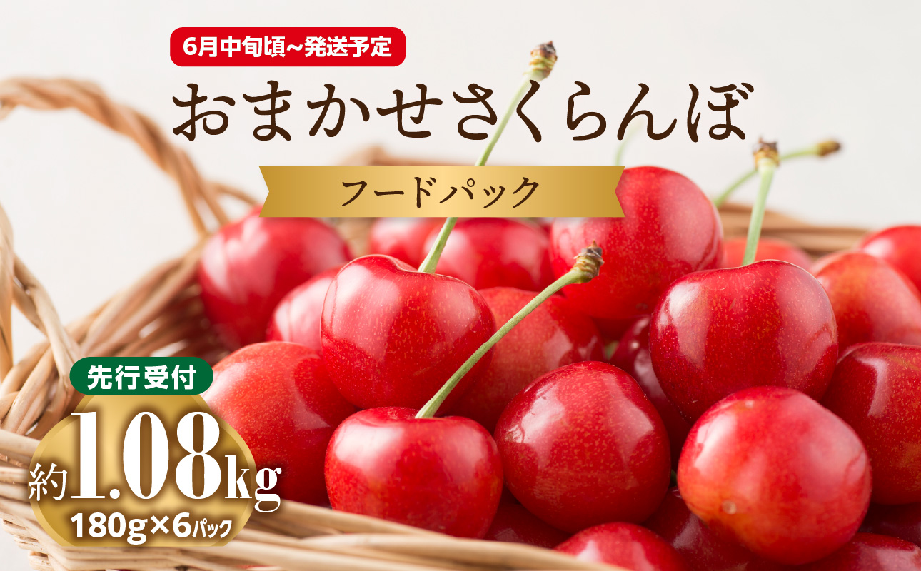 ≪先行受付≫さくらんぼ 佐藤錦 1.08kg (200g×6) M〜Lサイズ【2026年6月中旬頃〜発送予定】【山形県産さくらんぼ】