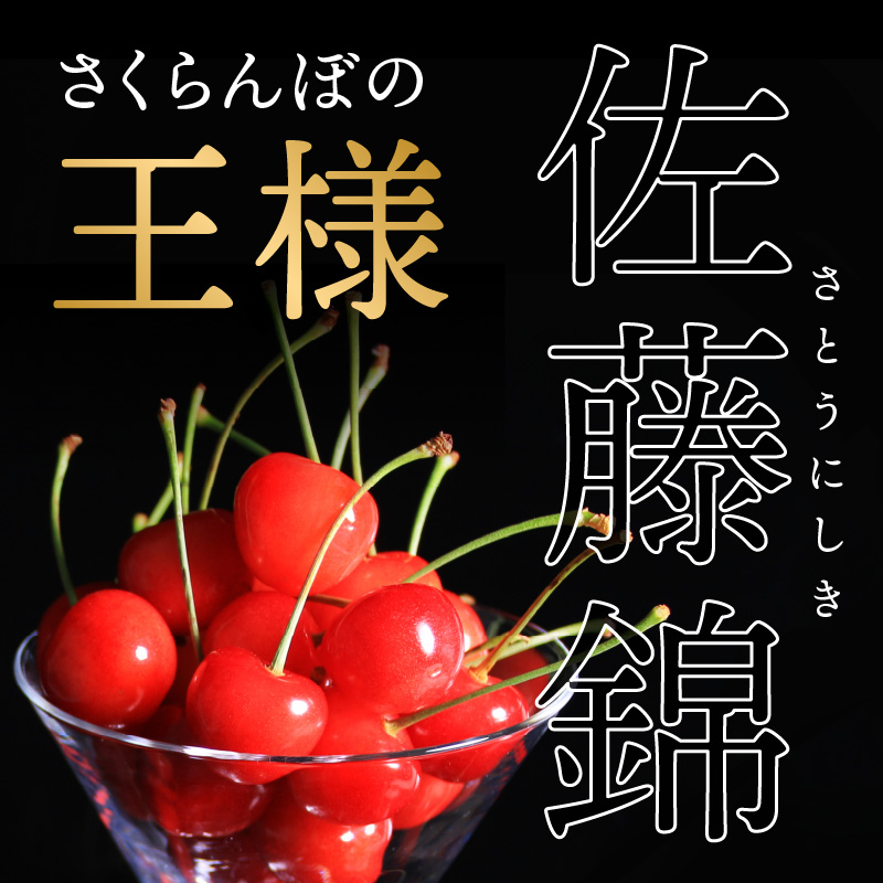 《先行受付》さくらんぼ 佐藤錦 500g 秀品 Lサイズ  バラ詰め 【2026年6月中旬頃〜発送予定】【山形県産さくらんぼ】