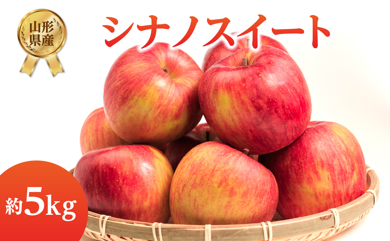 《先行受付》シナノスイート約5kg 【2026年10月上旬頃～発送予定】【山形県産りんご】