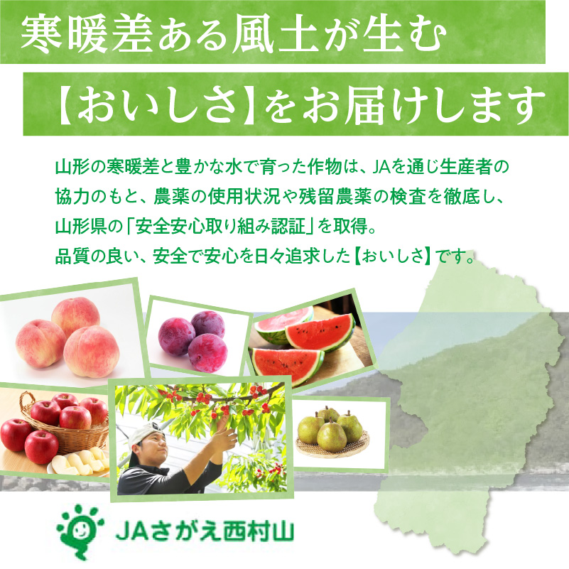 《先行受付》さくらんぼ 佐藤錦 500g 秀品 Lサイズ  バラ詰め 【2026年6月中旬頃〜発送予定】【山形県産さくらんぼ】