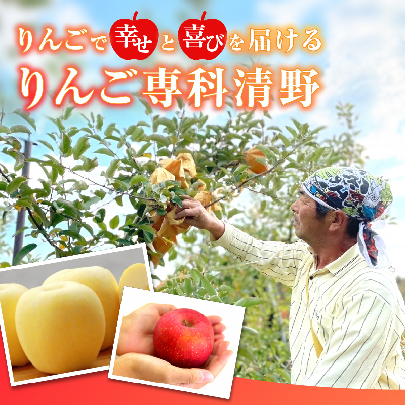 《先行受付》訳あり 大江はるか約3.5kg【2026年12月上旬〜発送予定】【大江町産・山形りんご・りんご専科 清野】