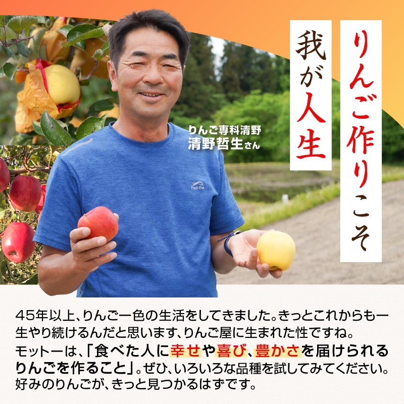 《先行受付》訳あり 大江はるか約3.5kg【2026年12月上旬〜発送予定】【大江町産・山形りんご・りんご専科 清野】
