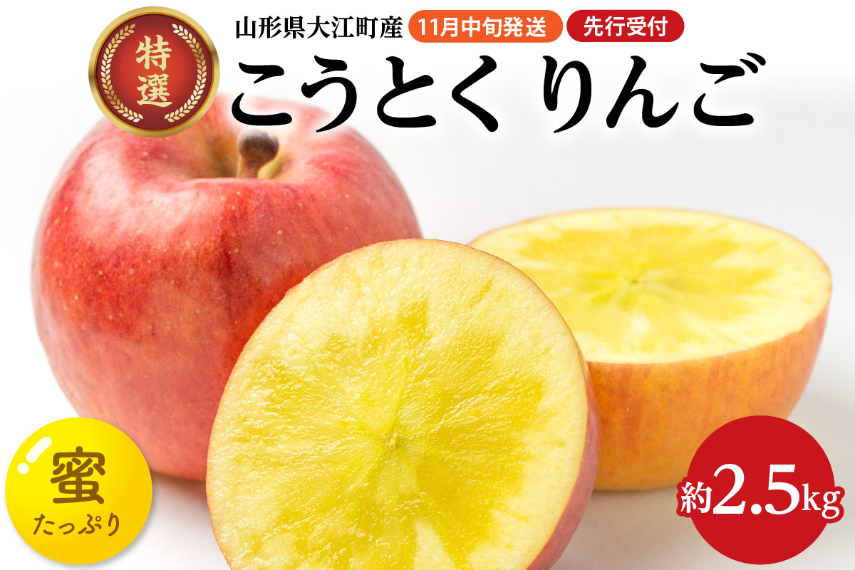 《先行受付》特選こうとくりんご約2.5kg 【2026年11月中旬頃～発送予定】【大江町産・山形りんご・大地農産・11月・12月】