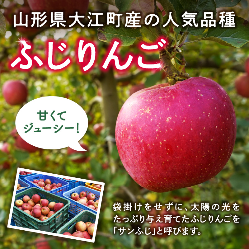 《先行受付》【2027年3月発送予定】 訳あり 雪室りんごサンふじ 約5kg【大江町産・山形りんご・大地農産】