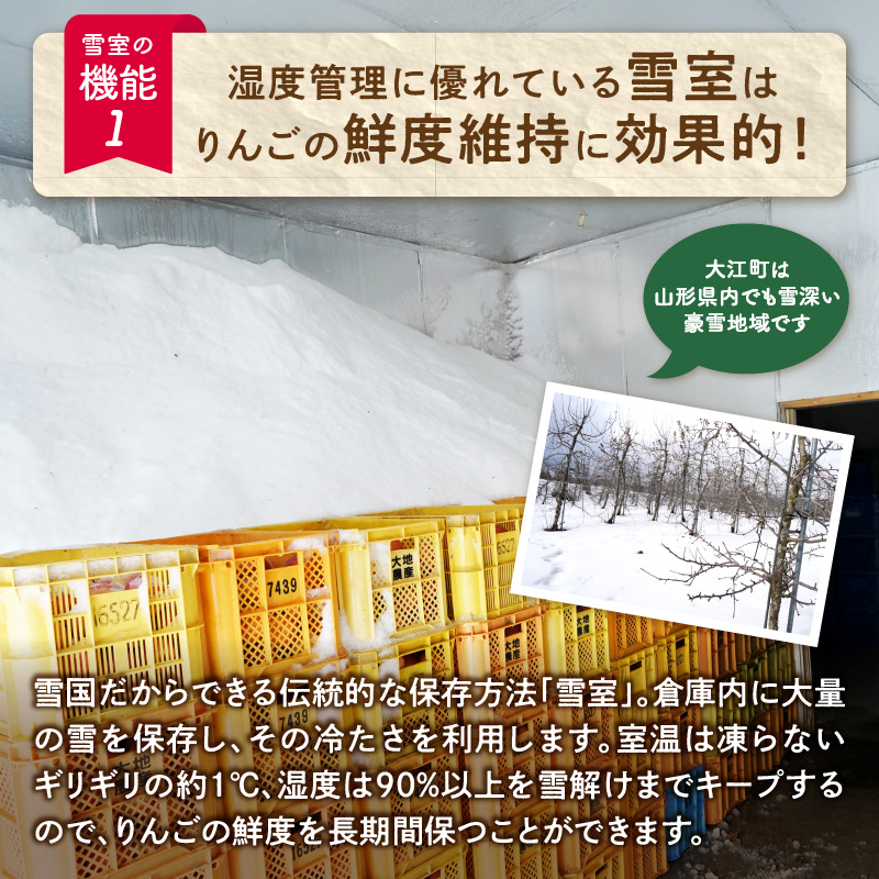 《先行受付》【2027年3月発送予定】 訳あり 雪室りんごサンふじ 約5kg【大江町産・山形りんご・大地農産】